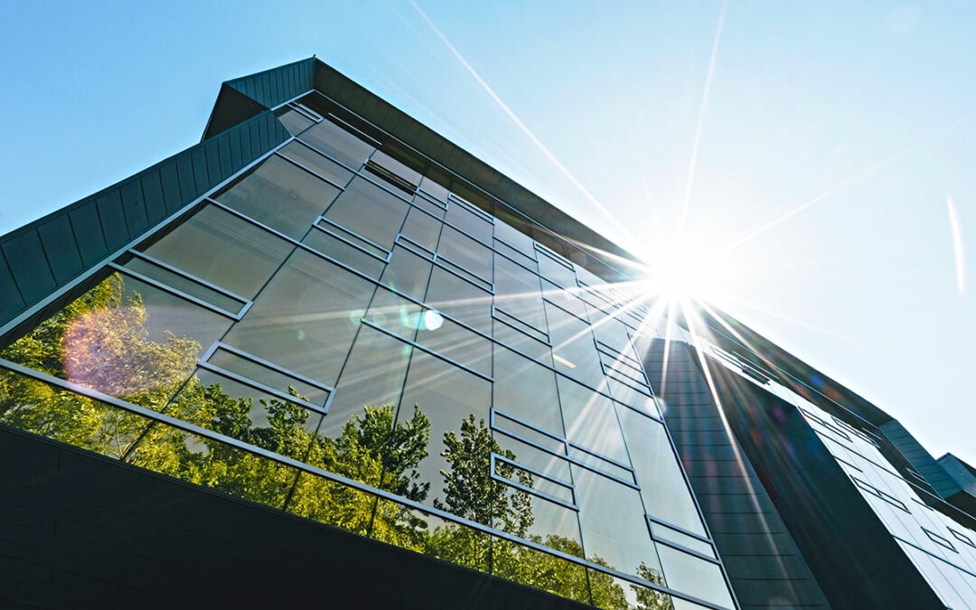 5 Ways Window Film Can Improve your Building