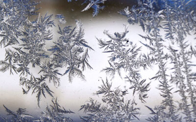 Benefits of Window Films During the Winter Months